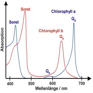 chlorophyll_spectrum